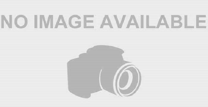 Lena Gieseke – Bio, Facts, Family Life, Achievements