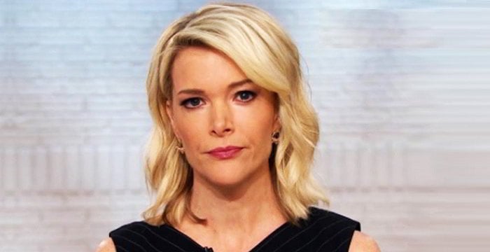 Megyn Kelly Biography - Facts, Childhood, Family Life & Achievements