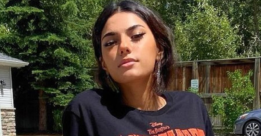 Noor Dabash – Bio, Facts, Family Life, Career