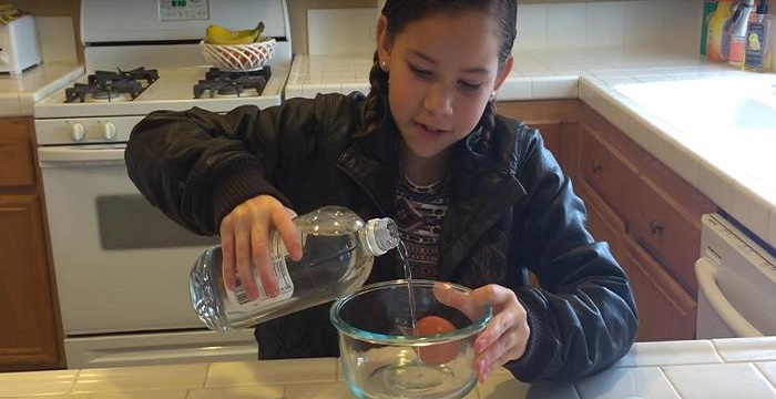 Olivia Haschak - Bio, Facts, Family Life of Dancer