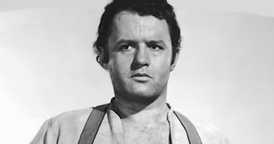 Rod Sternig Rod Steiger Biography - Facts, Childhood, Family Life & Achievements