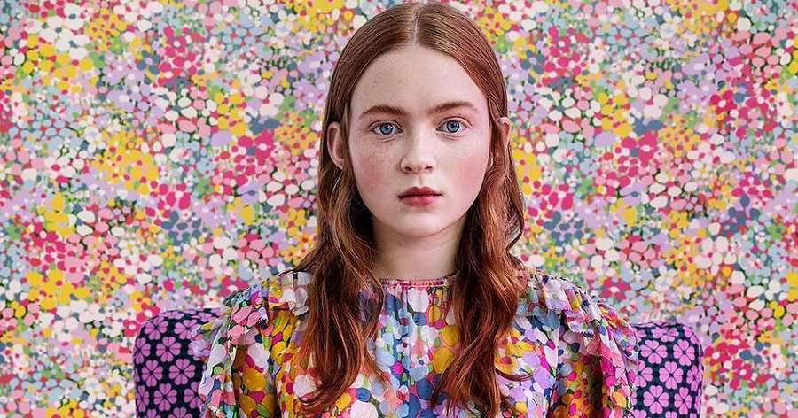 Sadie Sink Biography - Facts, Childhood, Family Life & Achievements