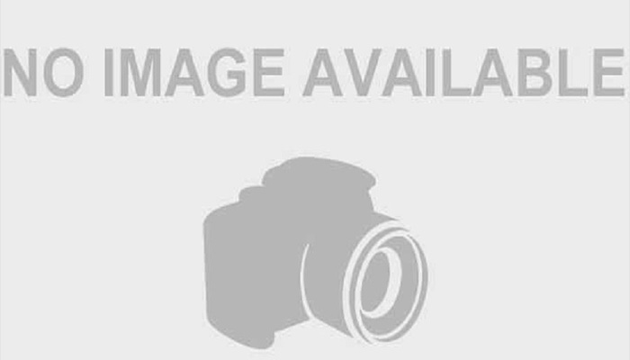 Sennacherib Biography - Facts, Childhood, Life Achievements & Timeline