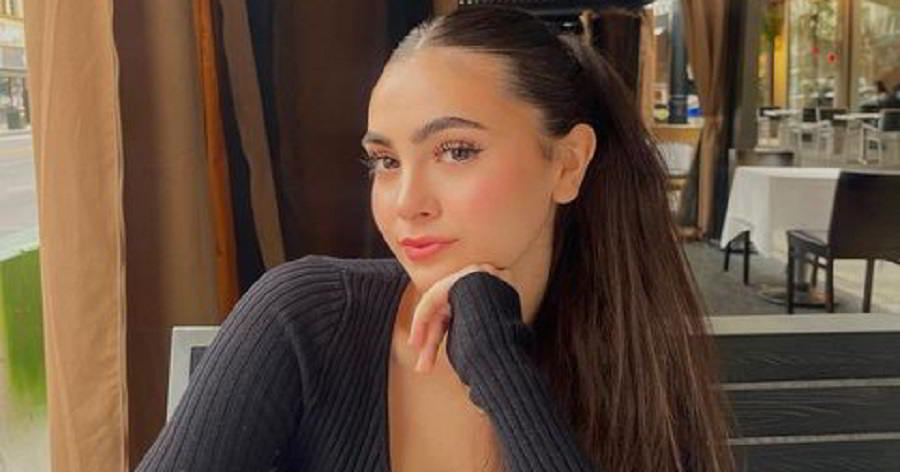 Sophie Hesri – Bio, Facts, Family Life