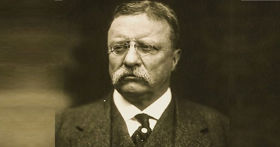 Theodore Roosevelt Biography - Childhood, Life Achievements & Timeline