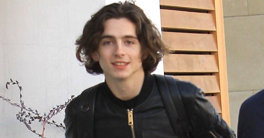 Timothée Chalamet Biography Facts, Childhood, Family