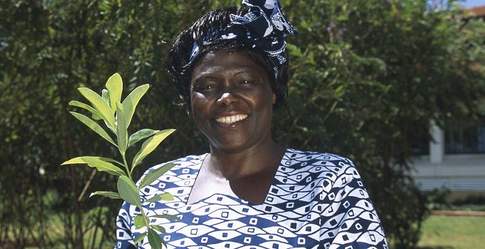 Wangari Maathai Biography - Childhood Life Achievements 