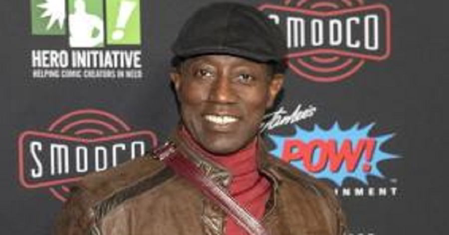 Wesley Snipes Biography - Childhood, Life Achievements 
