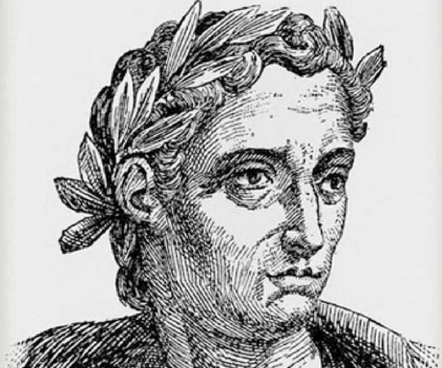 Pliny The Younger Biography Childhood, Life Achievements & Timeline