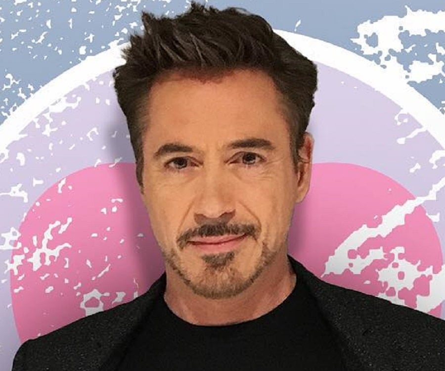 biography about robert downey jr