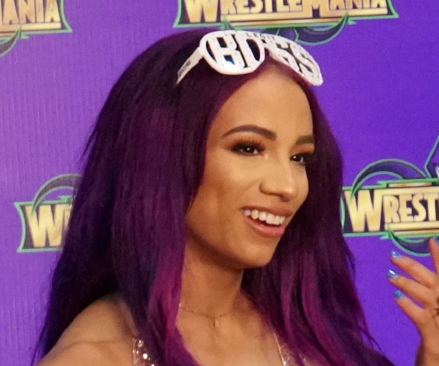 Sasha Banks Biography - Facts, Childhood, Family Life & Achievements of ...