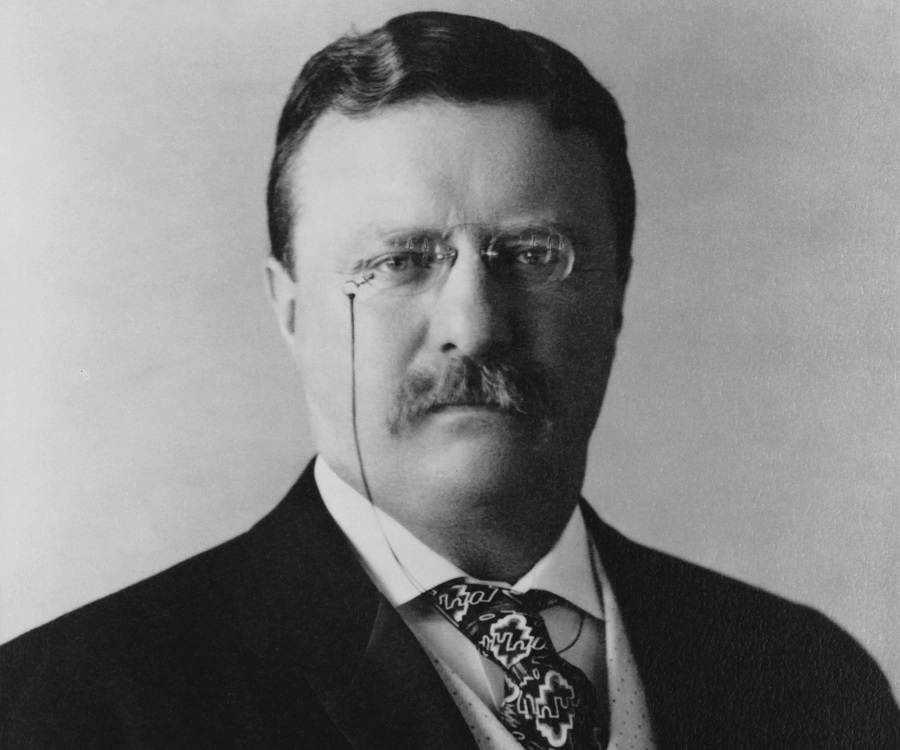 theodore roosevelt biography short