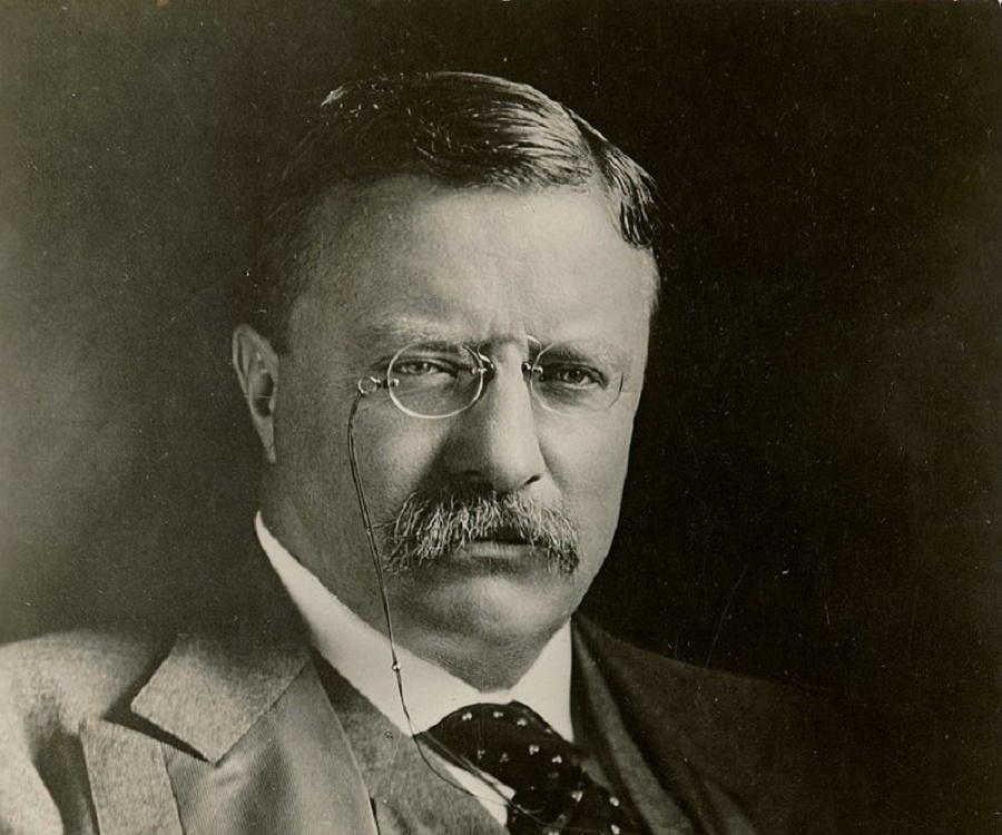 theodore roosevelt biography short