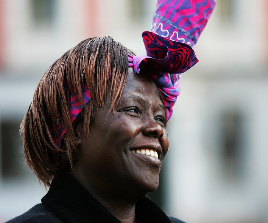 Wangari Maathai Biography - Childhood, Life Achievements 