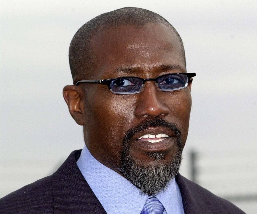 Wesley Snipes Biography Childhood, Life Achievements & Timeline