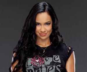 AJ Lee Biography