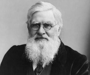 Alfred Russel W... Biography