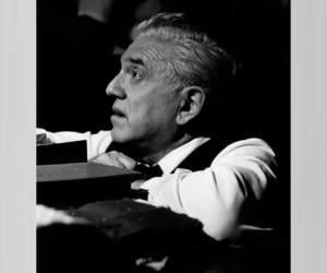 Anatole Litvak Biography