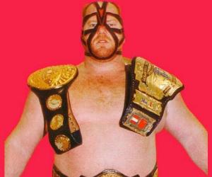 Big Van Vader Biography