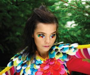 Bjork Biography