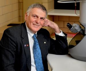 Dan Shechtman