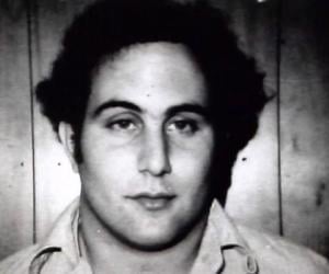 David Berkowitz