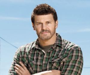 David Boreanaz