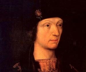 Henry VII of En... Biography