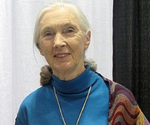 Jane Goodall Biography