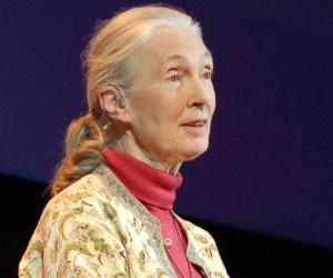 Jane Goodall