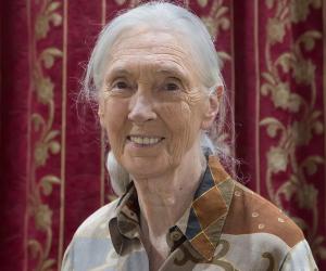 Jane Goodall