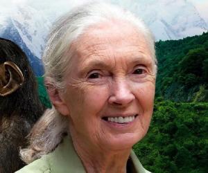 Jane Goodall