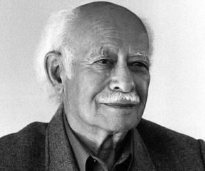 Joseph Allen Stein