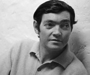 Julio Cortazar