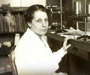 Lise Meitner