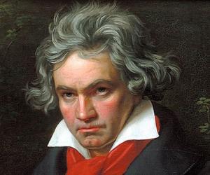 Ludwig van Beet... Biography