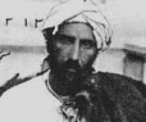 Mirza Reza Kermani