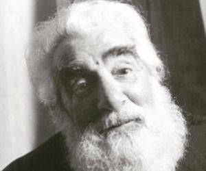 Noel Purcell
