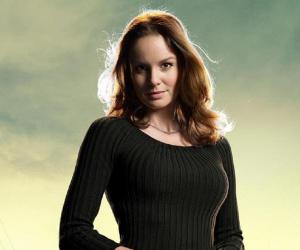 Sarah Wayne Callies