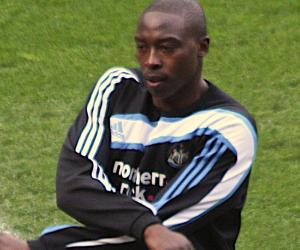 Shola Ameobi