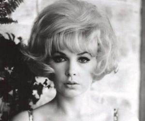 Stella Stevens