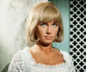 Wanda Ventham