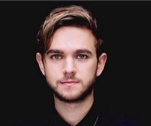 Zedd